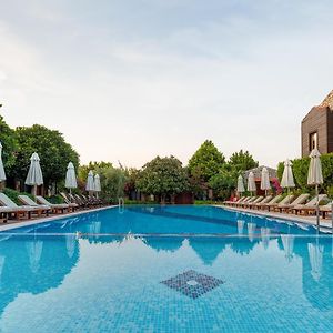 Luna Begonvil Taş Evler